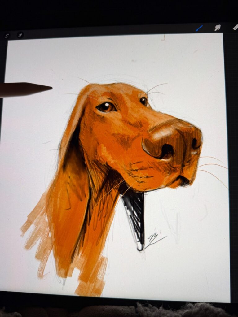 Gros plan sur une tablette graphique affichant un portrait numérique en cours de réalisation d'un chien de race type basset ou beagle. Le chien est représenté de trois quarts, regardant vers le haut et la droite, avec un nez proéminent et des yeux expressifs. Son pelage est rendu en teintes rousses et marron, avec des coups de pinceau visibles donnant texture et volume. Un stylet numérique, de couleur beige clair, est positionné sur la gauche de l'écran, sa pointe effleurant la toile numérique. L'interface du logiciel Procreate est partiellement visible en haut de l'écran. La signature de l'artiste est esquissée près du cou du chien. L'image capture le processus de création artistique numérique.